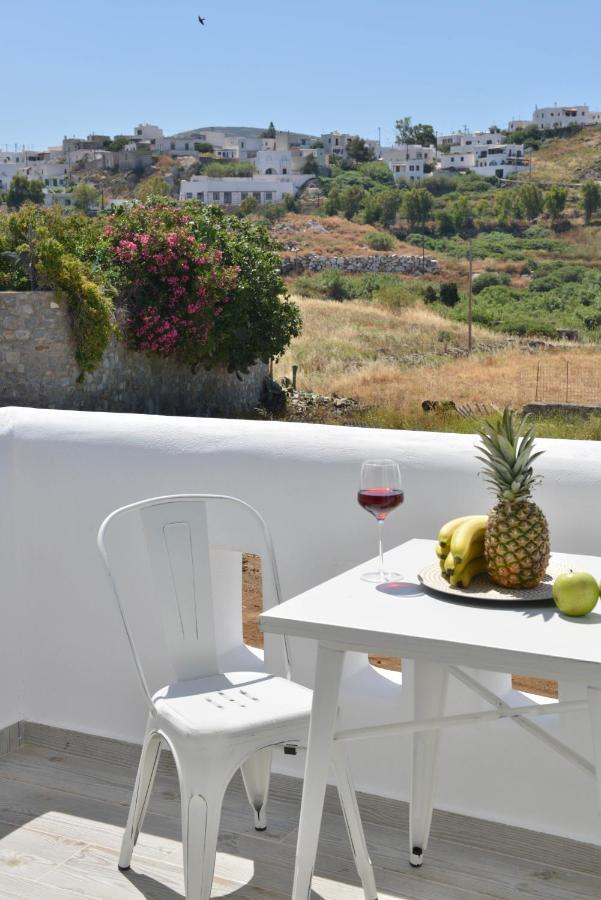 Naxian Album Villa Kaliope With Private Pool In Naxos Glinado Naxos Ngoại thất bức ảnh